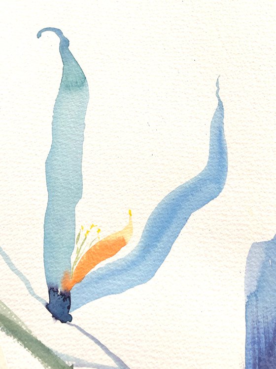 Whisper. Floral shades. A series of abstract original watercolours.