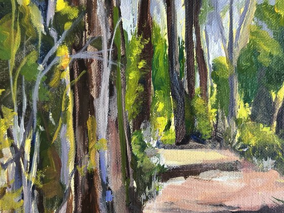 Sunlit Path
