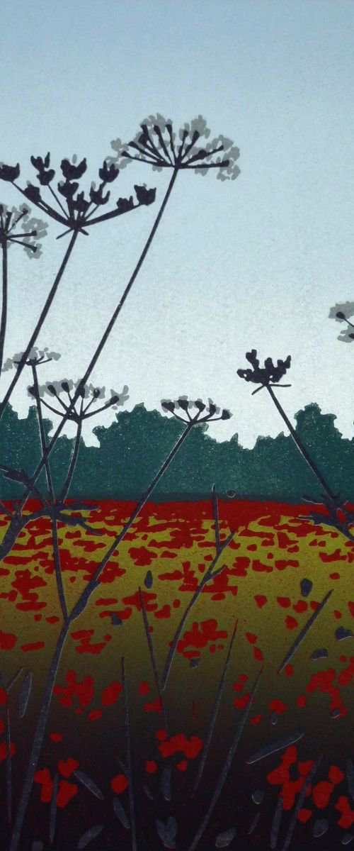 Poppies and Tall Parsley by Alexandra Buckle