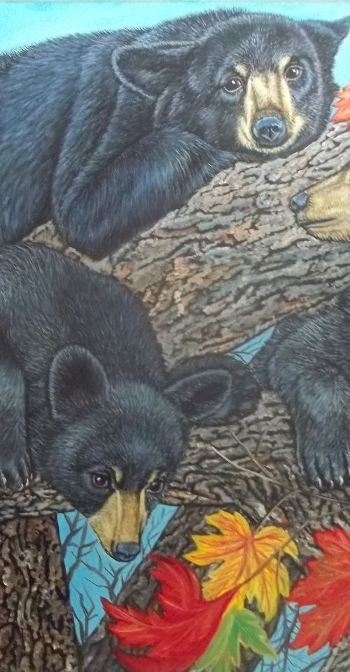 Three Black Bear Cubs in a maple tree by Sofya Mikeworth