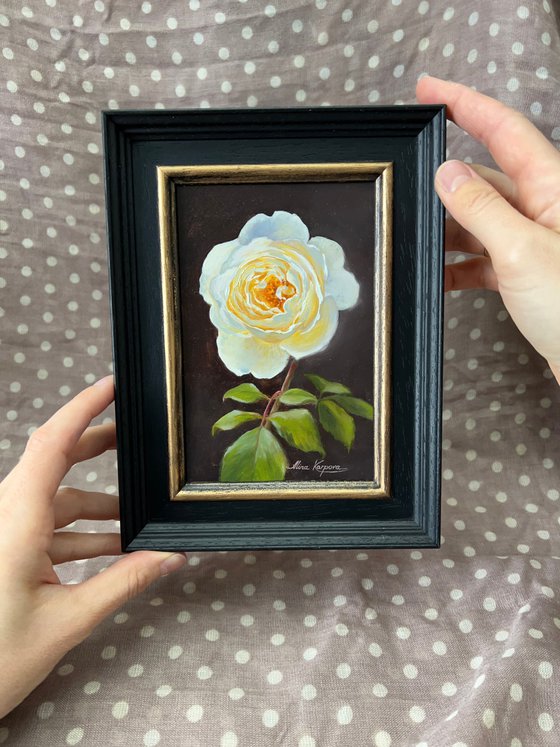 White rose