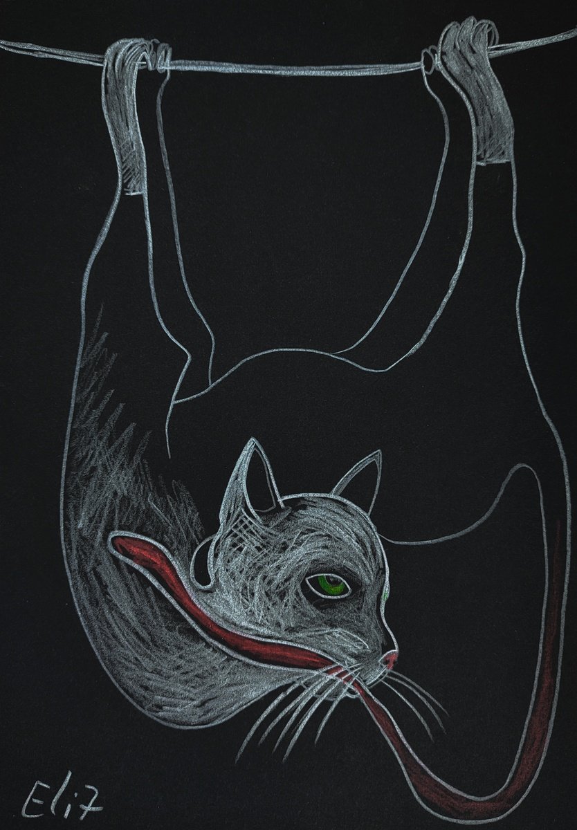 Expressive Animal Pencil Drawing By Elisheva Nesis, 9 X 13, Clowning For The Beloved, Original Artwork