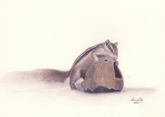 Squirrel and the coconut