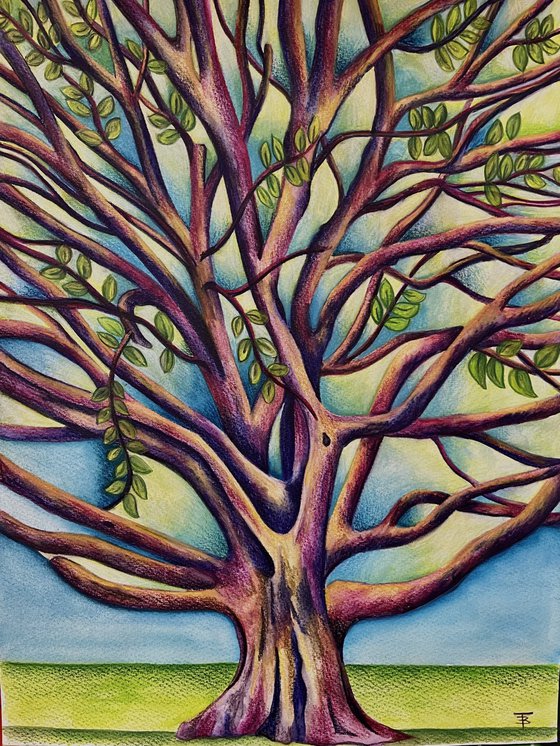 The Olive Tree