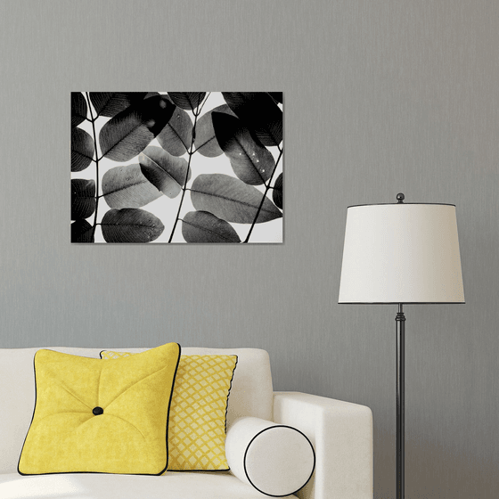 Experiments with Leaves II | Limited Edition Fine Art Print 1 of 10 | 60 x 40 cm