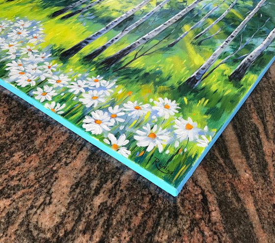 Birch Grove and Daisies