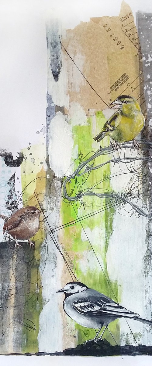 The siskin's song (siskin, wren and pied wagtail painting) by Carolynne Coulson