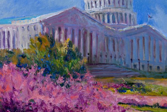 Spring in Washington DC