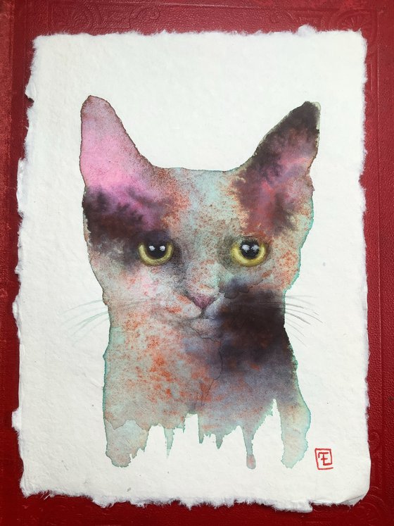 ABSTRACT CAT