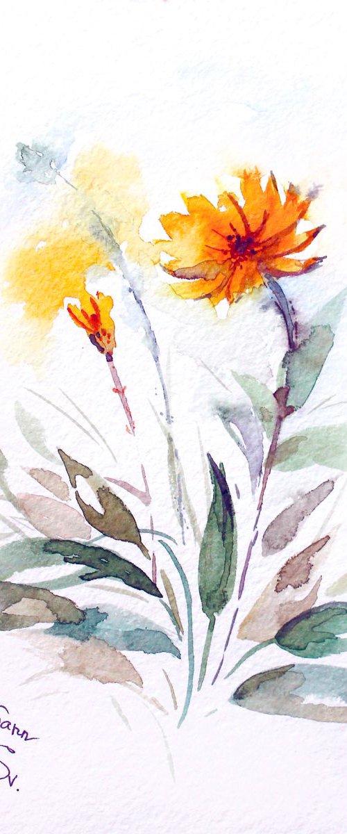 Yellow flower by Svetlana Vitman