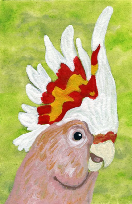 ACEO ATC Original Miniature Painting Major Mitchell Leadbeater Cockatoo Parrot Pet Bird Art-Carla Smale