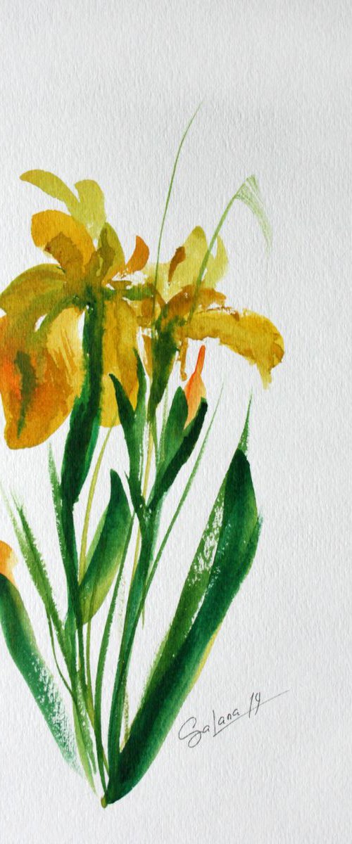 Iris 3  / Original Painting by Salana Art / Svetlana Samovarova