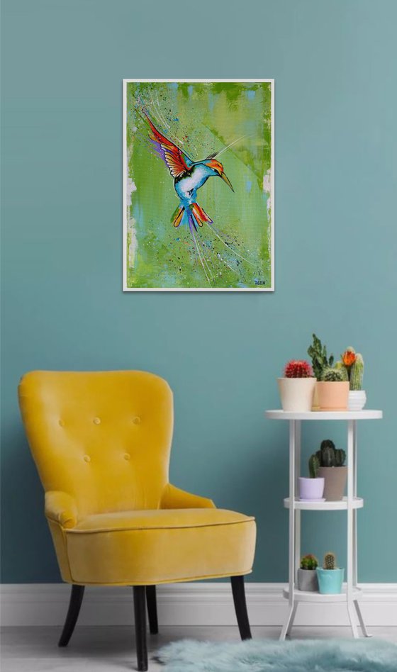 Hummingbird - 1