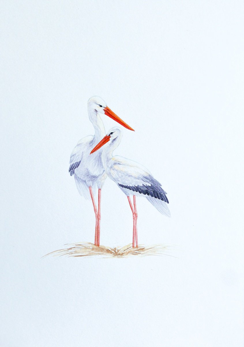 Mother and baby storks by Karina Danylchuk