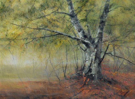 " Tree in the Mist "