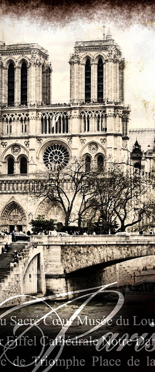 Notre Dame by Javier Diaz
