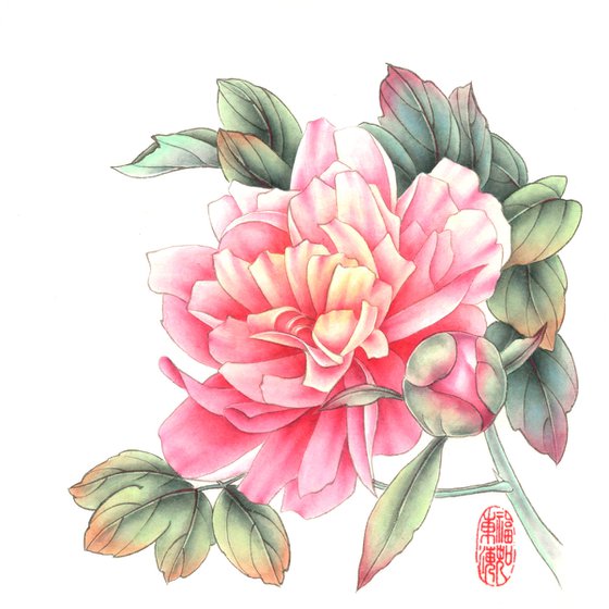 Peonies - Chinese painting, Watercolor painting