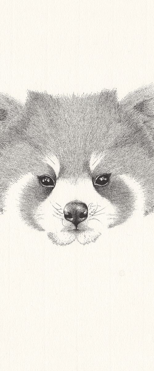 Red Panda by Kelsey Emblow