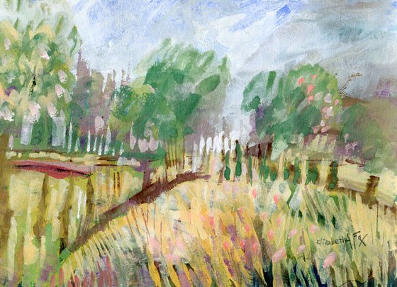 Summer Garden