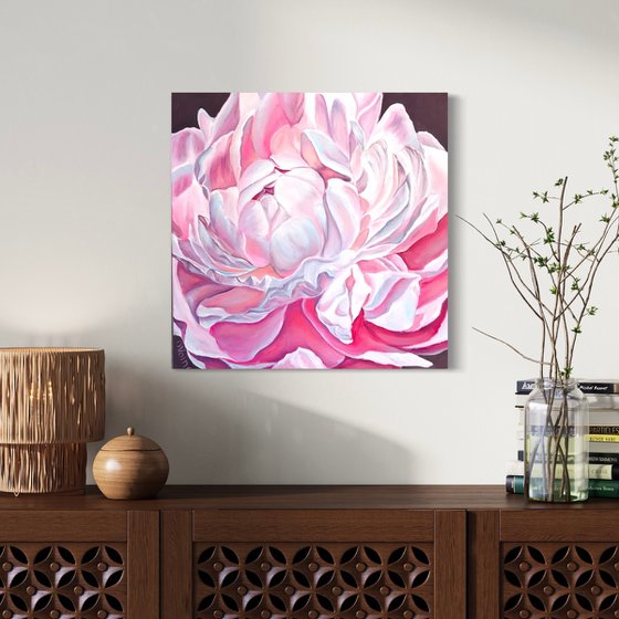 Pink peony