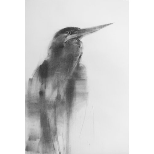 Great Blue Heron 4th Edition by Tianyin Wang