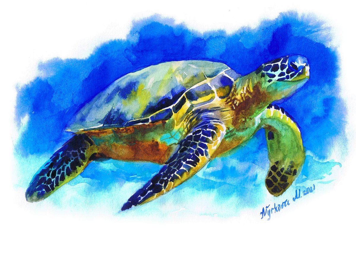 Animal original watercolor turtle painting by Marta Nyrkova