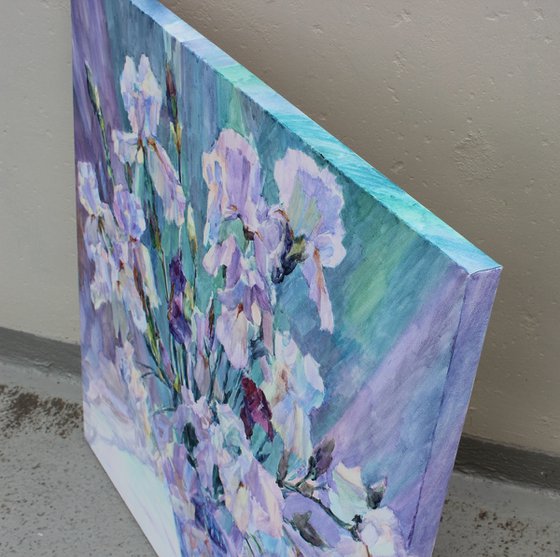 Irises from my garden