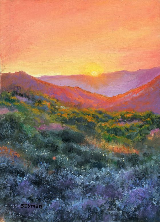 'The colors of the desert'