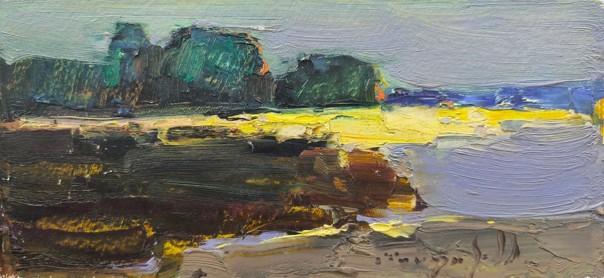 Impressionistic Landscape Oil Painting By Alexander Shandor, 12 X 6, Backwater, Original Artwork