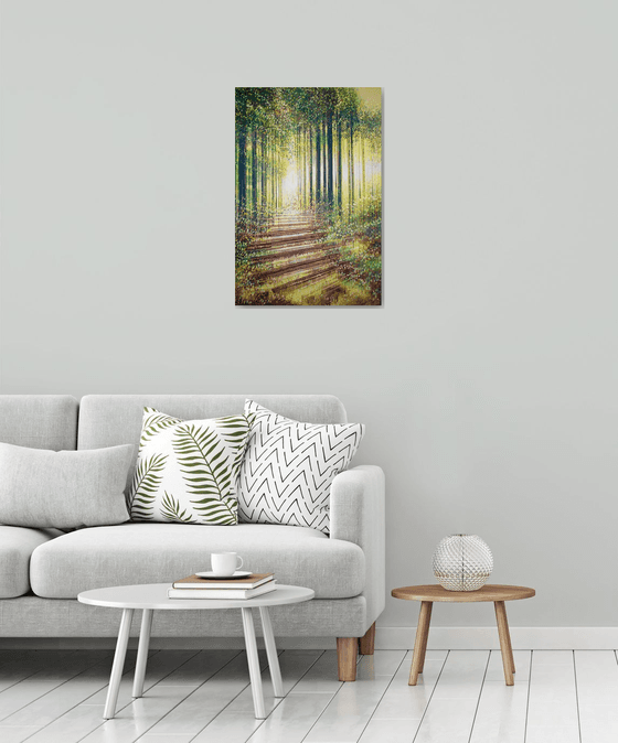 Forest Trees In Summer
