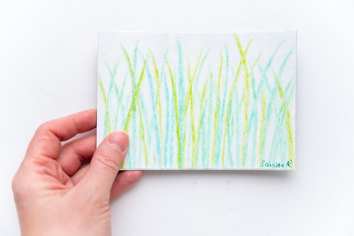 Sunny grasses by Rimma Savina