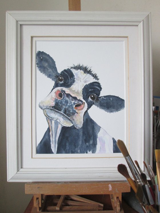 Nosy Black and White Cow