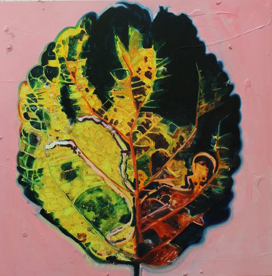 Found Map 37 Leaf Series A Concentration on Impermanence