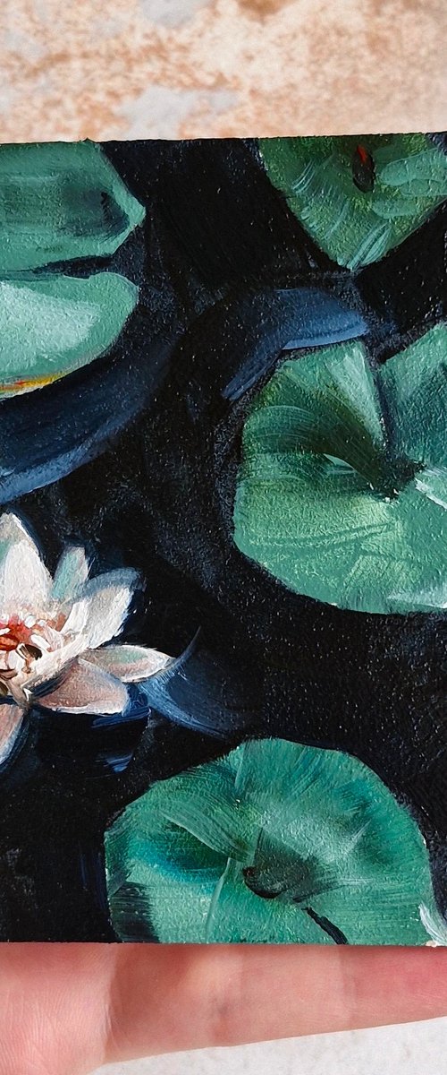 Water lily oil painting by Kateryna Somyk