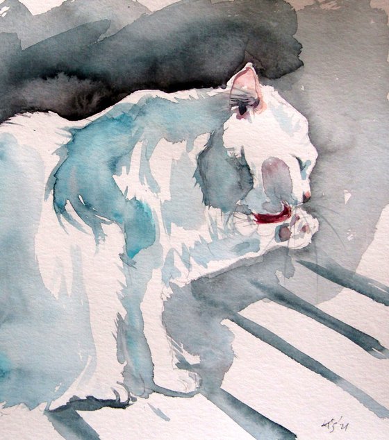 White cats triptych
