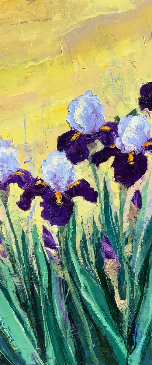 Irises at Sunrise   80x80cm by Tigran Mamikonyan