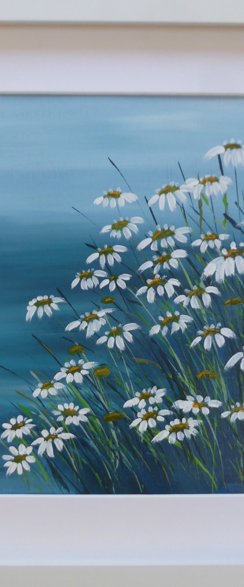 Coastal Daisies by Elaine Allender