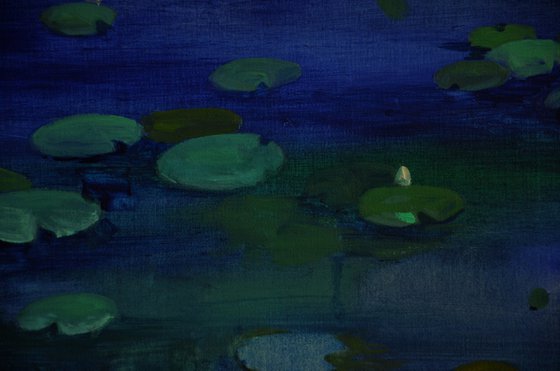 Lily pond. Lullaby