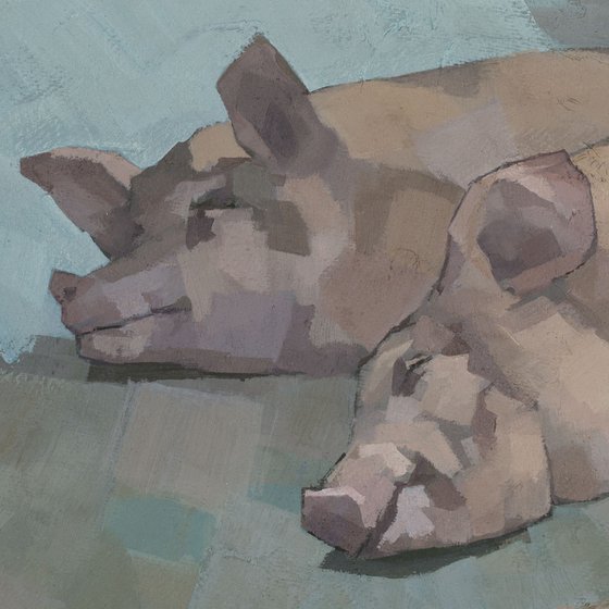 Sleeping Pigs