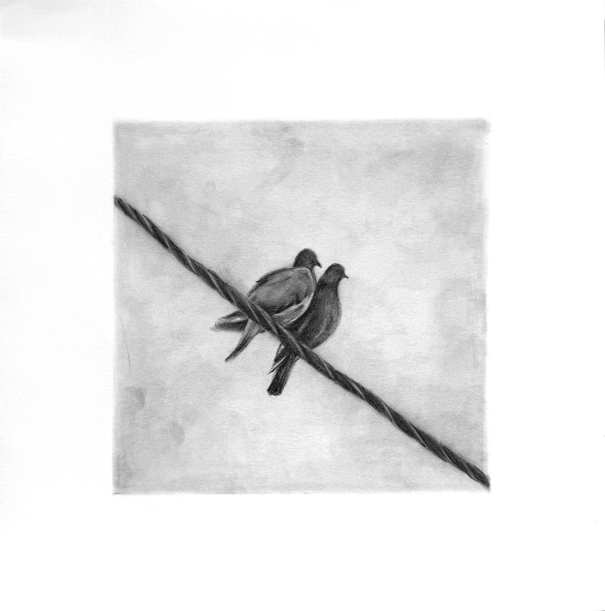 Photorealistic Pencil Drawing , U