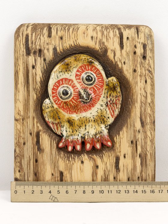 Owl