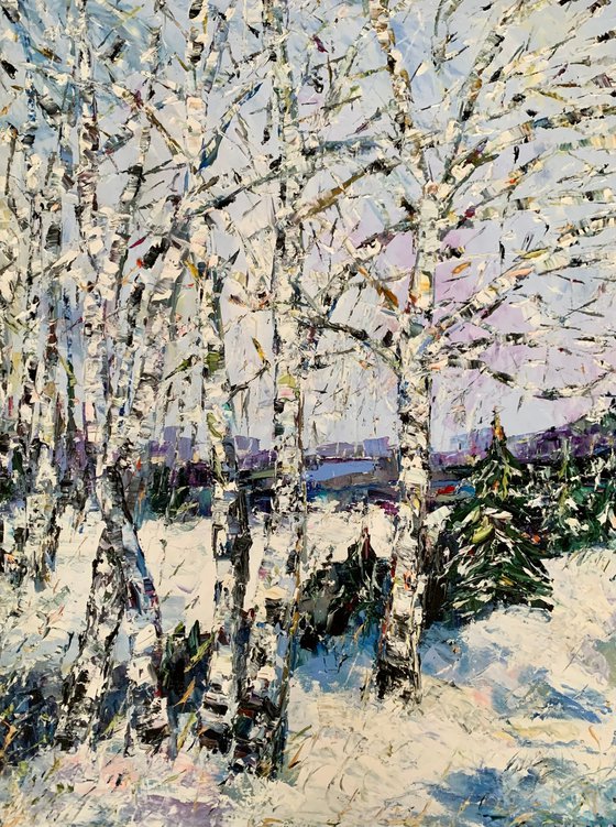 Birch trees in winter