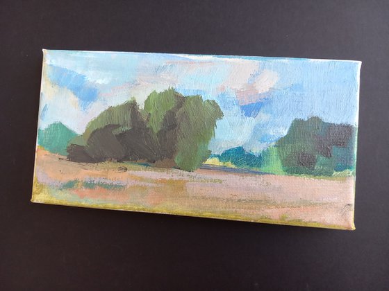 Longrun Meadow