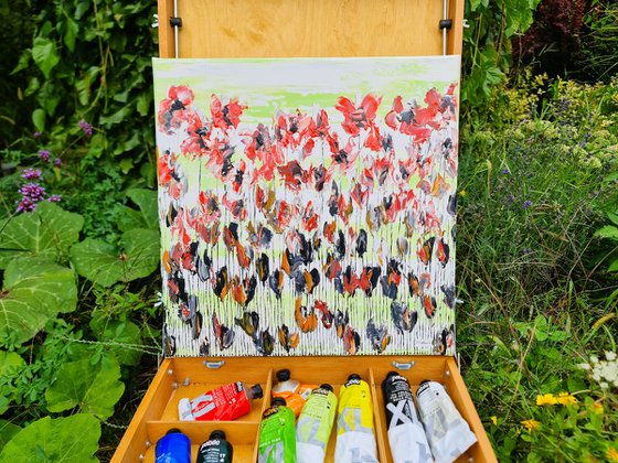 Poppy Flowers 2