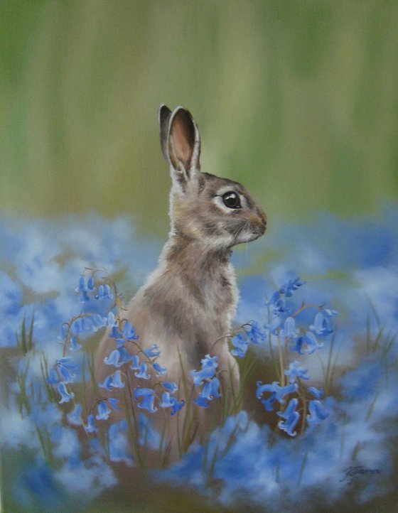Rabbit among bluebells 20x16