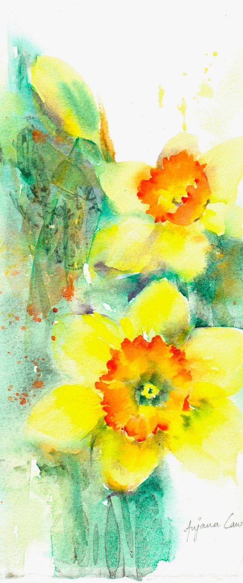 Daffodil painting, original watercolour, watercolor, spring flower, floral art by Anjana Cawdell