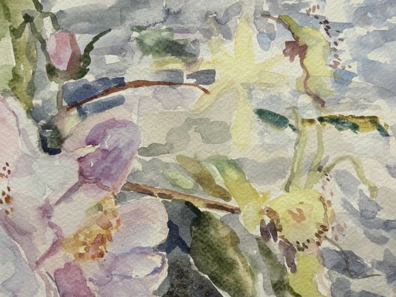 Aquarelle petals