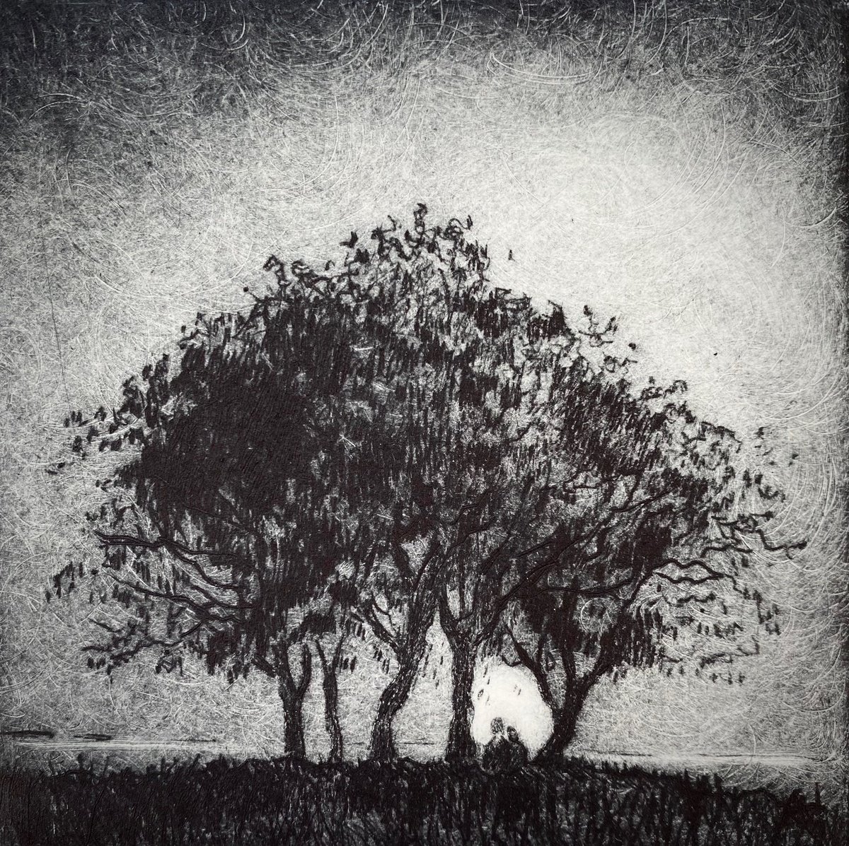 Illustrative Landscape Etchings & Engravings By Rebecca Denton, 7 X 7", End Of Day Ii, Original Artwork