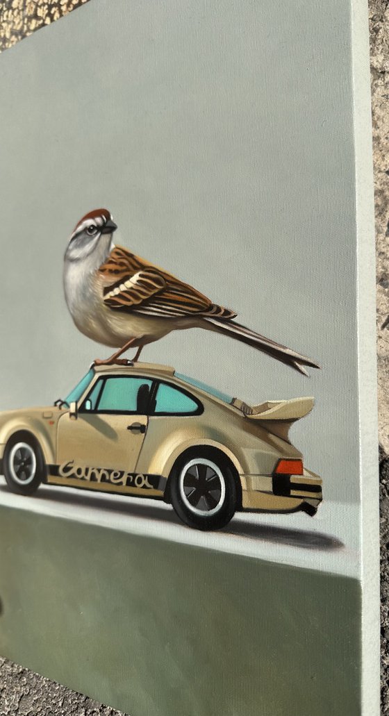 Still life with bird and Porsche 911SC