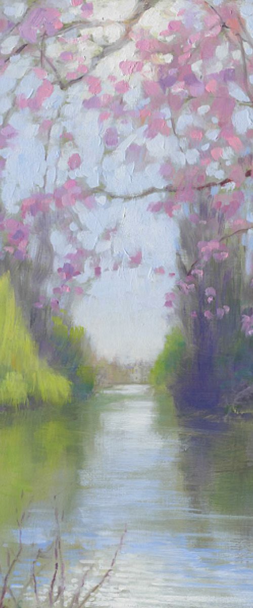 Spring In St James's Park by Mark Harrison